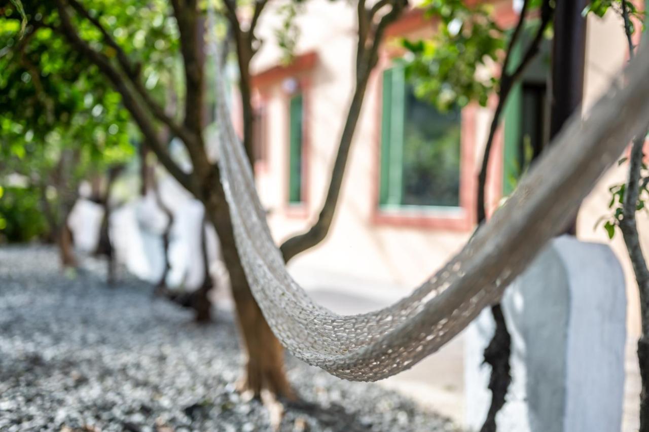 Casa Rural Bejeque تيرور المظهر الخارجي الصورة