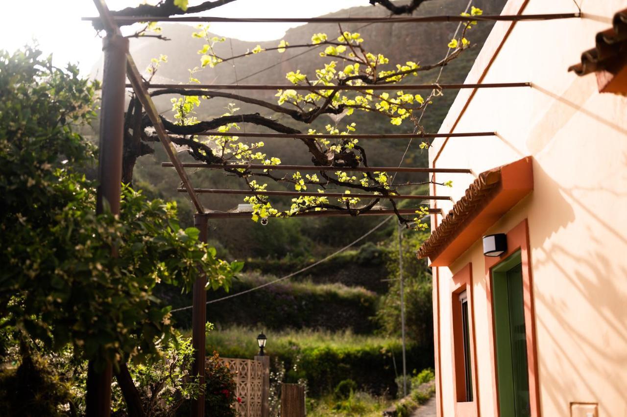 Casa Rural Bejeque تيرور المظهر الخارجي الصورة