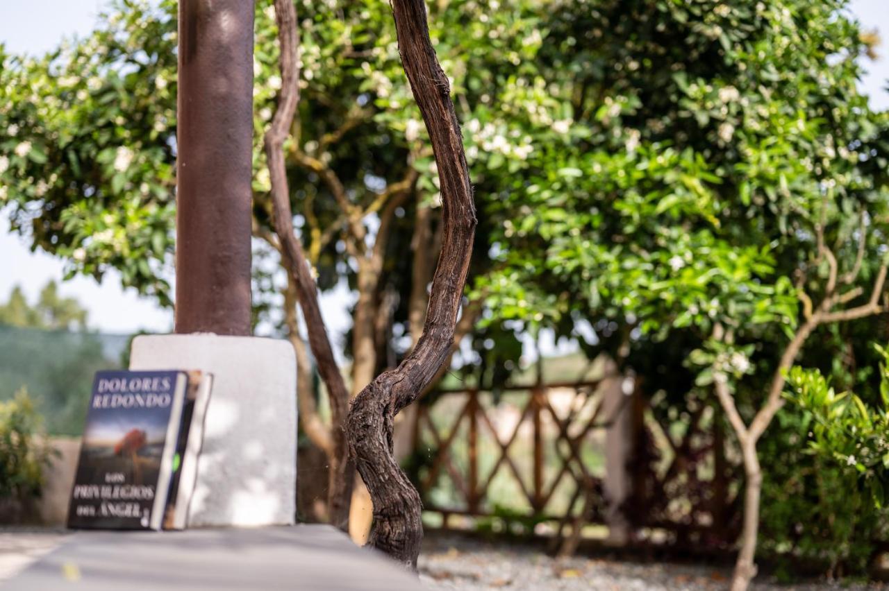 Casa Rural Bejeque تيرور المظهر الخارجي الصورة