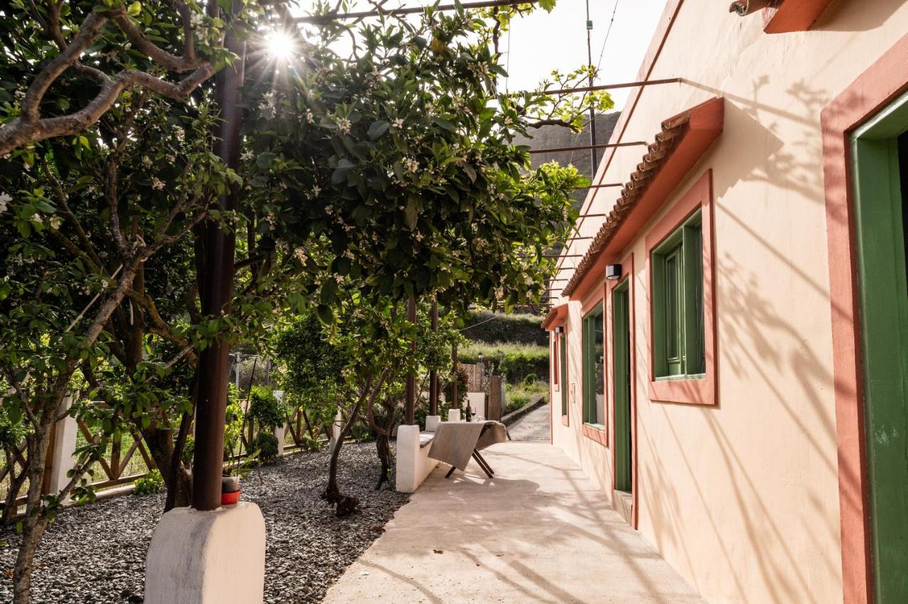 Casa Rural Bejeque تيرور المظهر الخارجي الصورة